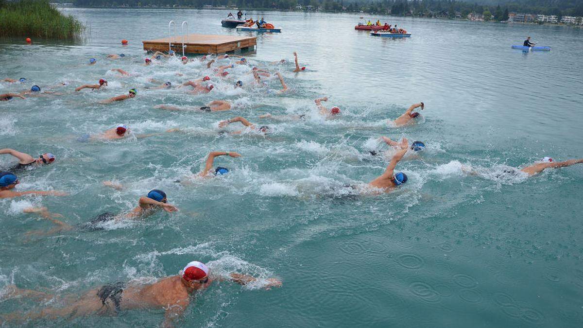 Die Sportler schwimmen 750 Meter von der Insel zum Strandbad