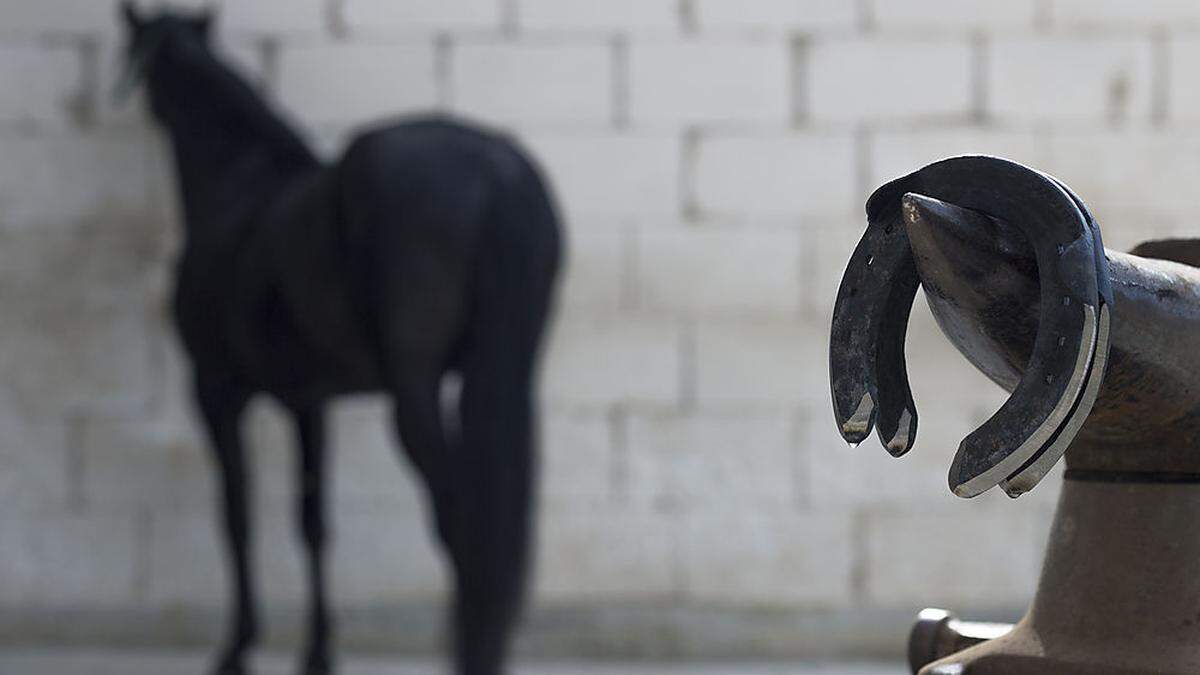 Vor Schreck verpasste das Pferd dem Buben einen Tritt (Symbolbild)