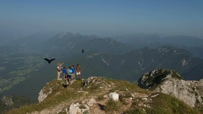 Auch Greifvogelbeobachtungen sind am Dobratsch möglich