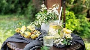 Frische Drinks für heiße Tage!