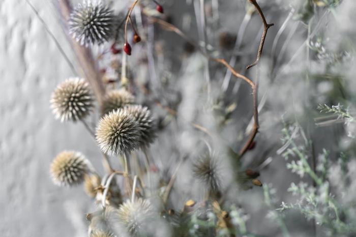 Trockenblumen im Blumen-Atelier