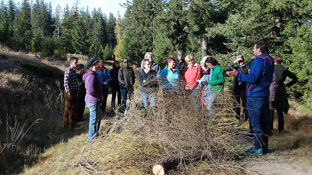 Sieben Waldspaziergänge für Frauen wurden im Herbst angeboten – einer davon in Hirschegg 
