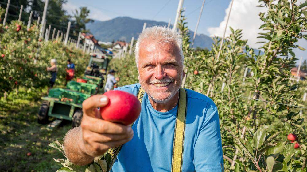 Hans Innerhofer verwirrt den Apfelwickler mit Duftstoffen, im Hausgarten geht das nicht