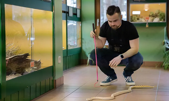 Sackl: Keine Angst vor Schlangen, aber Respekt