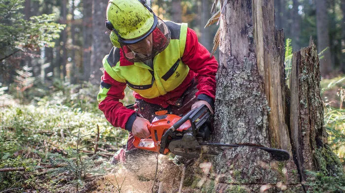 Schwerer Forstunfall in Wolfsberg