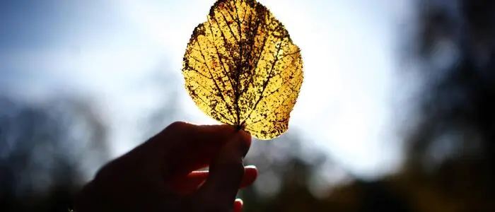 Seit Anfang September ziehen die Spätsommerbuchungen an