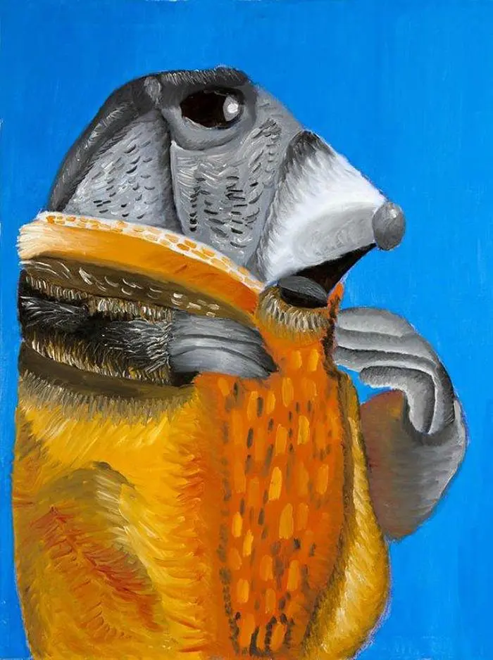 Thomas Baumgartners „Murmeltier“ war im Jahr 2012 in der Adventkalender-Kunstauktion in den Fenstern des Lienzer Rathauses zu sehen