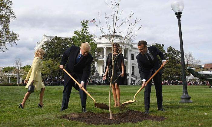 Beim Baumpflanzen vor dem Weißen Haus 