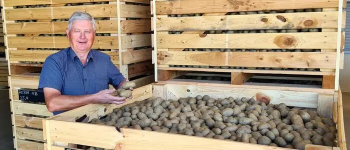 Ein älterer Herr mit grauen Haaren steht neben einer großen Kiste voller Kartoffeln
