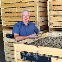 Berthold Pichler aus Kappel baut Biokartoffeln an
