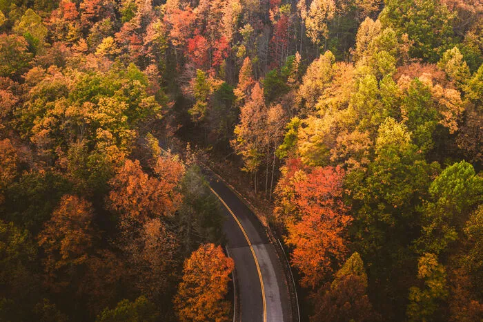 Ober Gatlinburg ist die Skiregion von Tennessee (USA). Jetzt wird gewandert und gestaunt. Fix installierte Fernrohre erlauben bessere Einblicke.