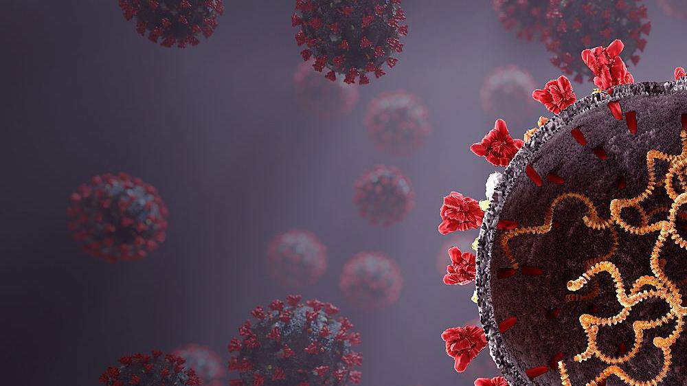 Sechs Gemeinden sind derzeit vom Coronavirus verschont
