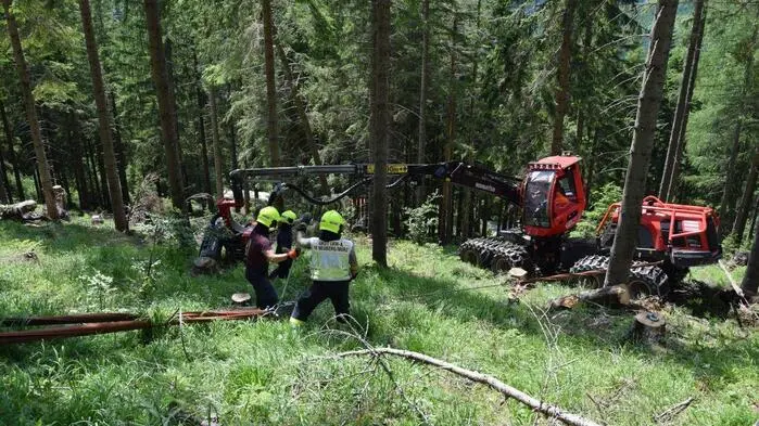 Die Feuerwehren aus Mürzsteg und Neuberg waren gefordert