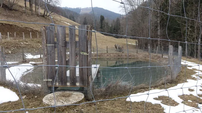 Im Jahr 2021 wurde dieser Löschwasserteich beim Steinbach fertiggestellt.