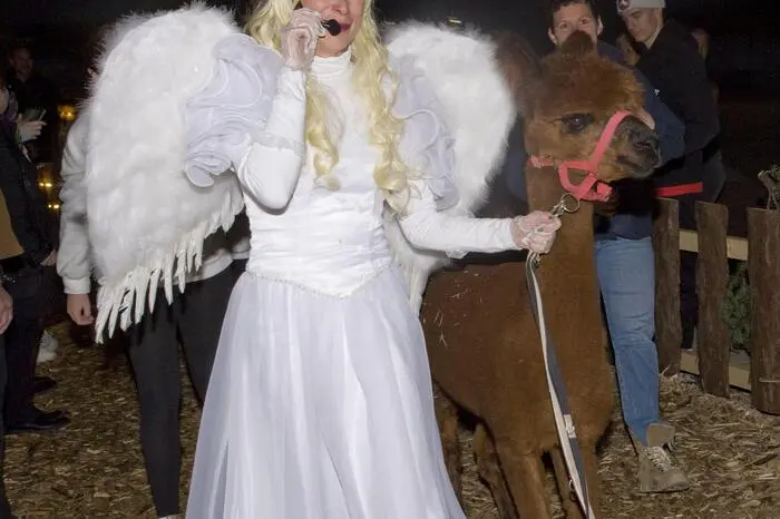 Weitere Bilder der Ainova gibt es hier!