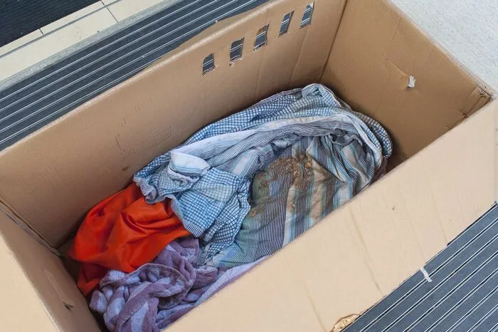 Der Karton war komplett verdreckt, die Tiere mussten darin stundenlang ausharren.