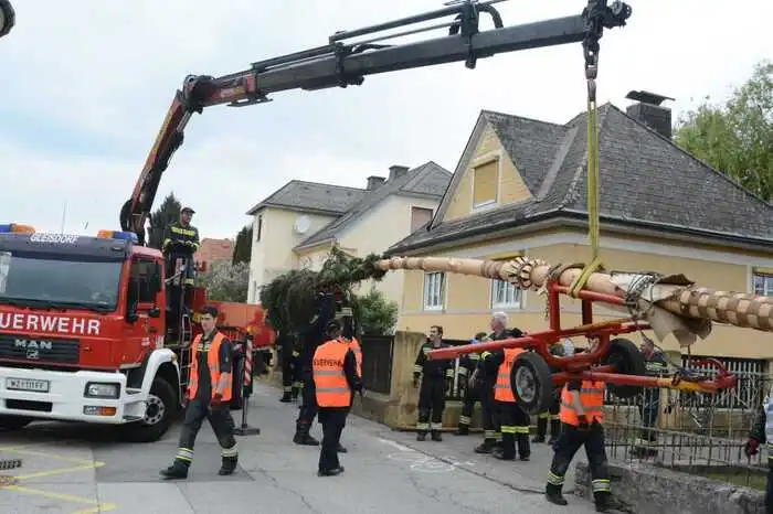 In der Rathausgasse wurde der Fichtenbaum mittels eines Lkw-Krans in die Einfahrt der Familie Moritz gehoben.