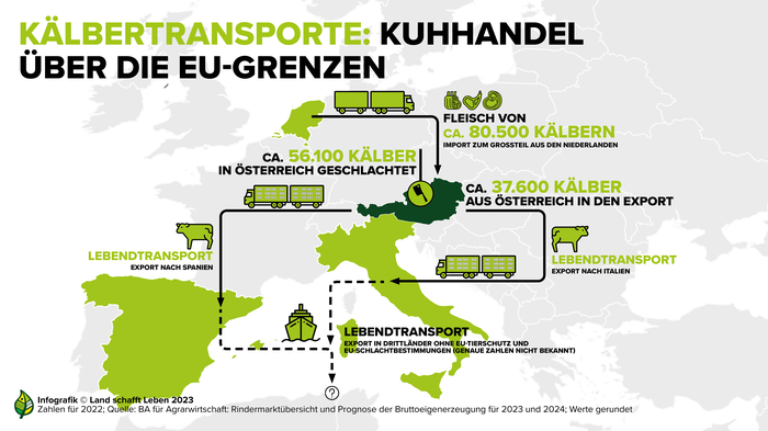 Kälber auf ihrem Transport quer durch Europa  | Der Report von „Land schafft Leben“ – mit Fokus auf Kälbertransport 