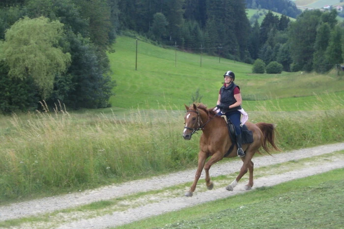 Das Pferdereich Mühlviertleralm bietet auf einem 700 Kilometer umfassenden Reitwegenetz alles, was es zum Wanderreiten braucht: Rastplätze, Kraftplätze, Galoppstrecken, schattige Waldwege und jede Menge Gaststätten mit Betten für Reiter und Boxen für die Sattelschlepper