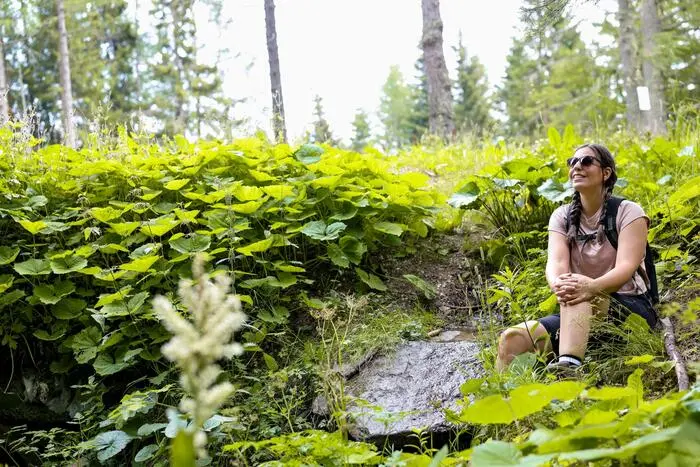 Rund um die Sabathyhütte gibt es auch einfache Wanderwege, die für die ganze Familie schaffbar sind
