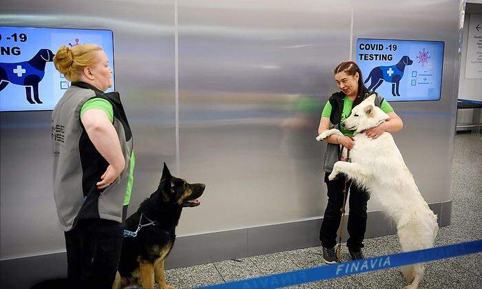 Die "Covidogs" helfen am Flughafen Helsinki-Vantaa