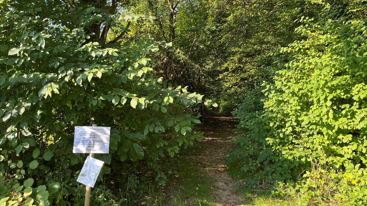 Das Land Steiermark prüft in einem Artenschutz-Verfahren welche Tierarten im Wald vorkommen