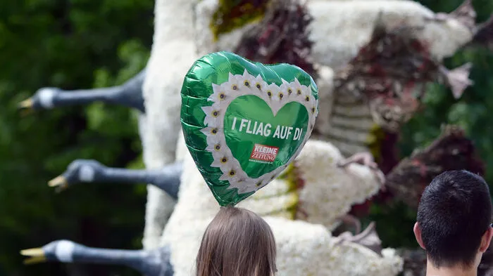 Rund 20.000 Besucher lassen sich das Narzissenfest jedes Jahr nicht entgehen.