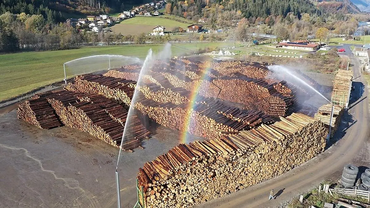 Das Nasslager in Ainet bietet Platz für 65.000 Kubikmeter Holz, das beregnet wird 