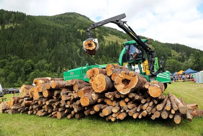 25. Holzstraßenkirchtag in der Ebene Reichenau