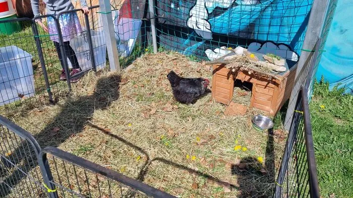 Die Henne Chantal führte den Kindern und Jugendlichen ihre musikalischen Talente vor.