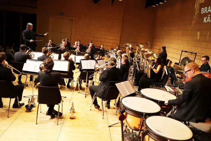 Die Brass Band der Musikschulen des Landes Kärnten setzt sich vorwiegend aus Blechbläser- und Schlagwerklehrern der Musikschulen des Landes Kärnten sowie Musikstudenten zusammen.