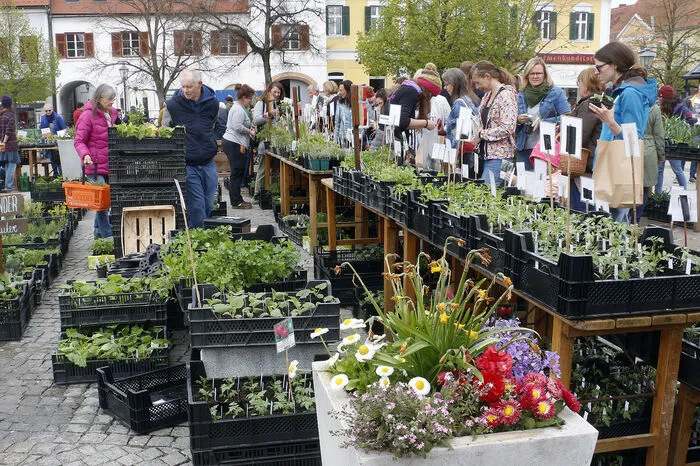ist der Fürstenfelder Pflanzenmarkt einer der größten Märkte...