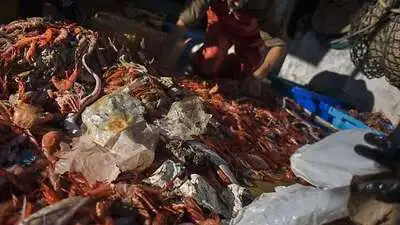 Plastikmüll landet oft im Meer