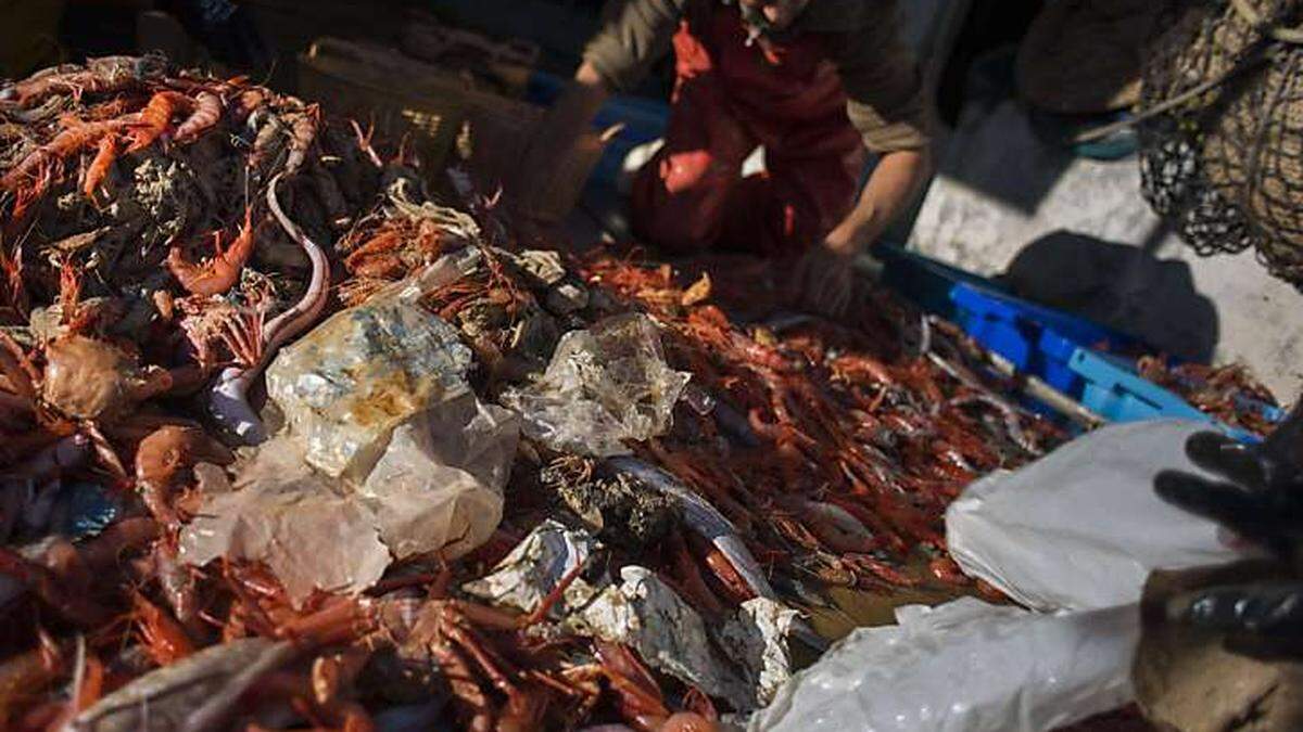 Plastikmüll landet oft im Meer