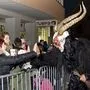 Großteils ging es beim Perchtenlauf in Knittelfeld friedlich zu