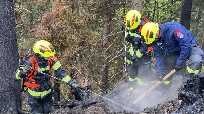 Ende April brach in den Ortschaften Promeggen und Xaveriberg ein Waldbrand aus