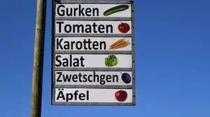 Der Ministerrat dürfte sich heute auf die Liste jener Lebensmittel verständigen, die künftig mit einem begünstigten Mehrwertsteuer-Satz versehen werden