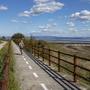 Radfahrerin am Radweg entlang der Küste von Grado nach Punta Sdobba