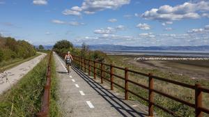 Radfahrerin am Radweg entlang der Küste von Grado nach Punta Sdobba