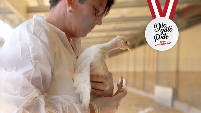 AMA-Stallkontrolle durch Tierärztin Dr. Alexandra Schleiner im Putenstall von Andreas Planegger in Kärnten