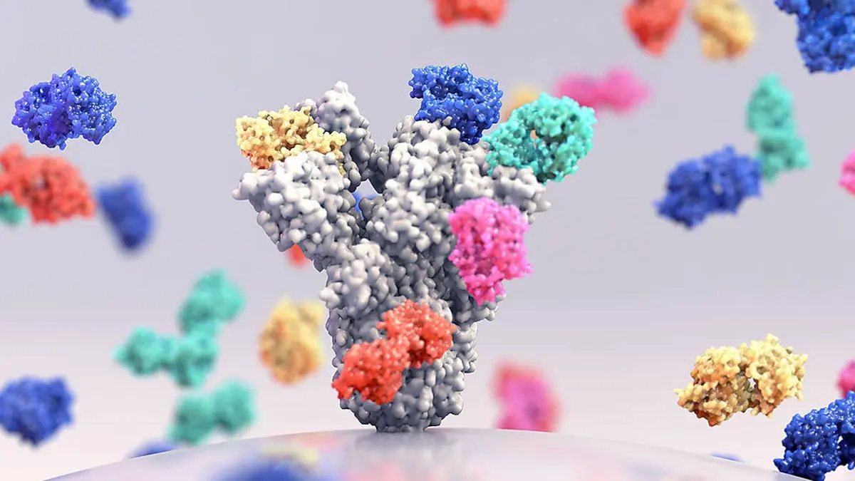 Die Kombinationstherapie mit Antikörpern ist noch sehr teuer