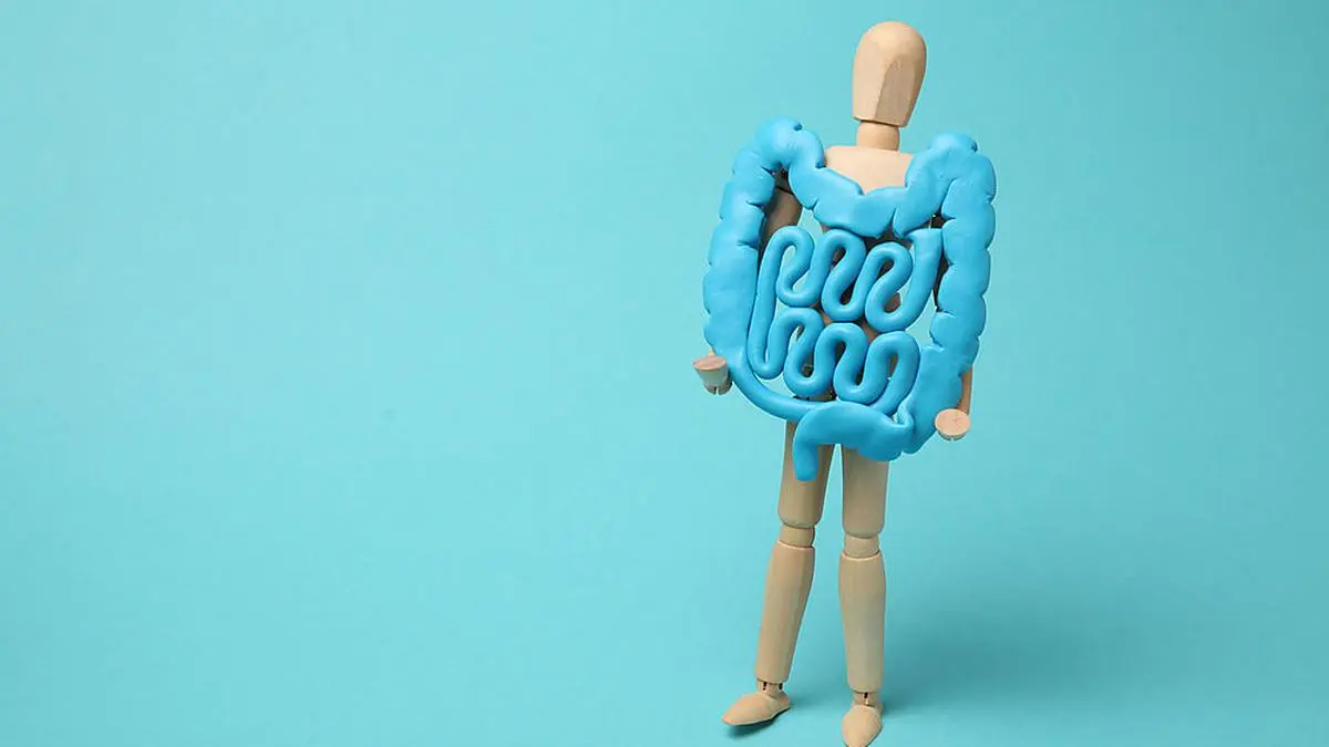 Healthy intestines in hands of human figure. Digestive problems, colic, dysbacteriosis.