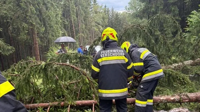 Feuerwehrleute entfernen Baum von Straße | Im Raum Velden am Wörthersee fielen zahlreiche Bäume auf Straßen, Radwege und Stromleitungen