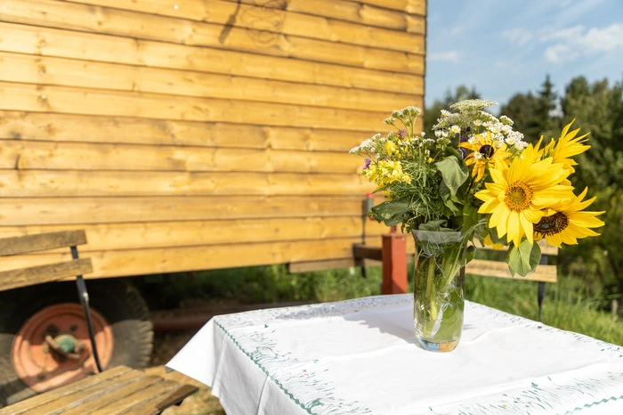 Mit Fernblick auf den Urkräuterweg, der der Grenze entlang verläuft, erzählt Bettina Tertinjek wie das neueste Projekt entstand – der Urkräuterwagen. „Bis 2018 haben vier Generationen im Haupthaus gewohnt. Das wurde mit den drei Kindern und insgesamt acht Personen nach und nach zu eng.“