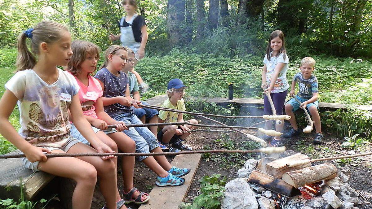 Kinder zwischen sechs und zwölf Jahren können beim Sommerprogramm im Rosental mitmachen