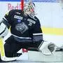 Dornbirn-Goalie David Madlener könnte für die Rotjacken eine Option als Dahm-Ersatz sein	 