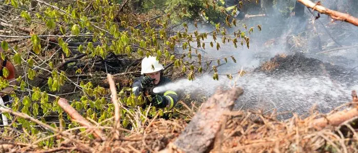 Wegen der anhaltenden Hitze und Trockenheit ist die Waldbrandgefahr in der Steiermark hoch