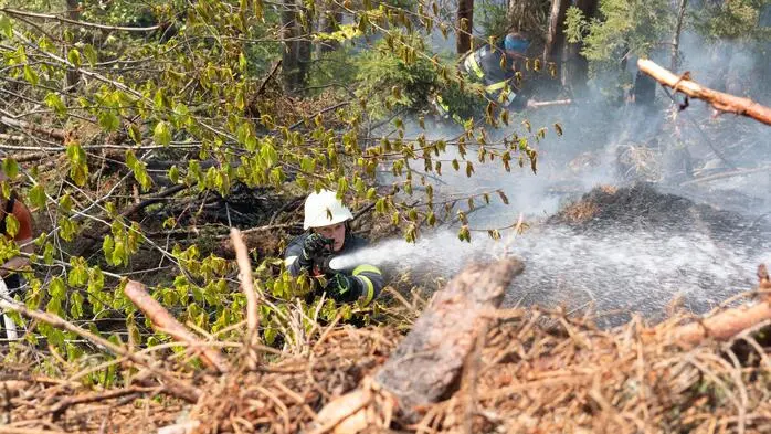 Wegen der anhaltenden Hitze und Trockenheit ist die Waldbrandgefahr in der Steiermark hoch