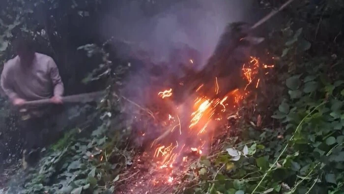 In Sankt Lorenzen am Wechsel kam es in den frühen Morgenstunden des Montags zu einem Waldbrand