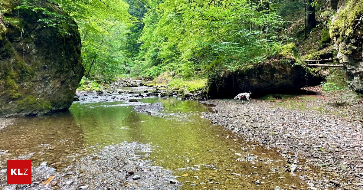 In-der-Raabklamm-Weil-ihr-Hund-an-der-Leine-zog-st-rzte-Steirerin-ber-Felskante